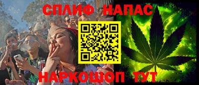 дмт Славгород