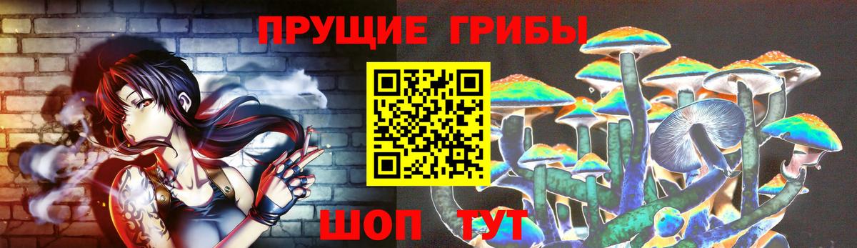 Петрозаводск  Галлюциногенные грибы Psilocybine cubensis  Вход с VPN  Псилоцибиновые грибы мухоморы 
